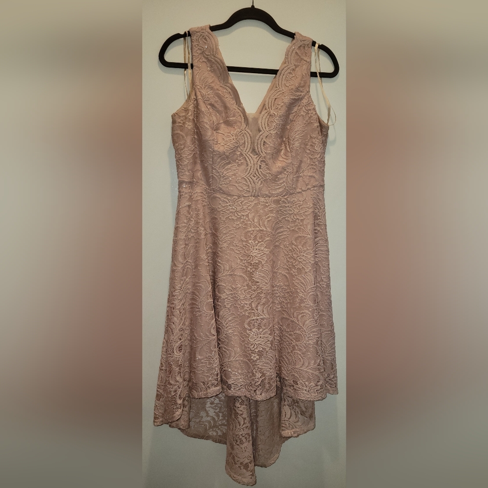 City Triangles Pink Lace High Low Dress